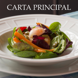 CARTA PRINCIPAL